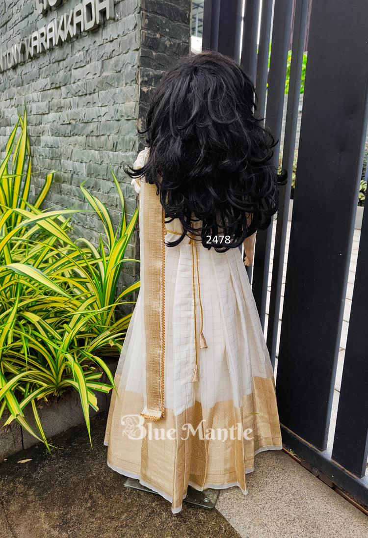 2478 Ready to Dispatch: Offwhite Gown with Duppatta ''VanaJyolstna''