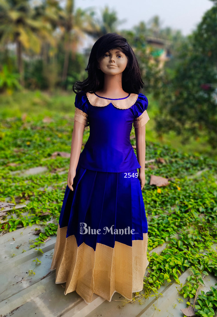 2549 Ready to Dispatch : Royal Blue and Light gold Full Skirt and blouse