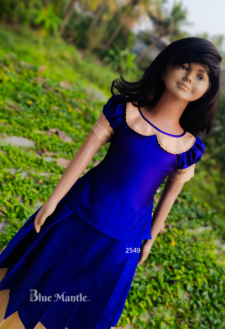 2549 Ready to Dispatch : Royal Blue and Light gold Full Skirt and blouse