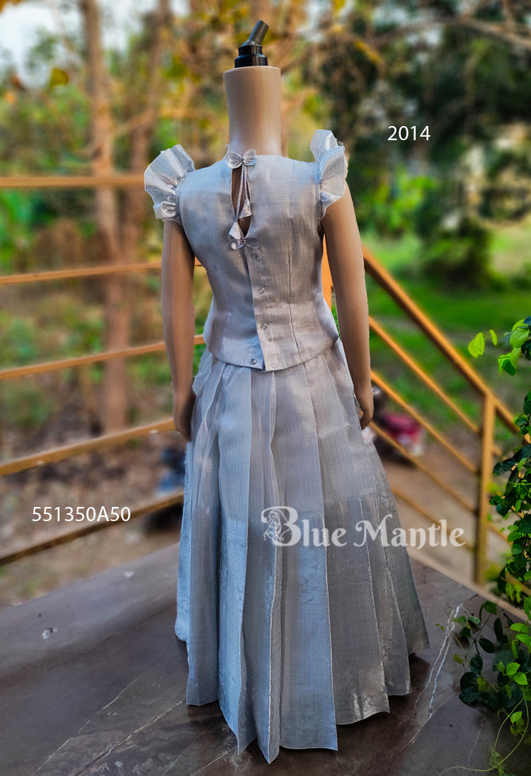 2014 Ready to Dispatch: Silver Skirt & Crop Top