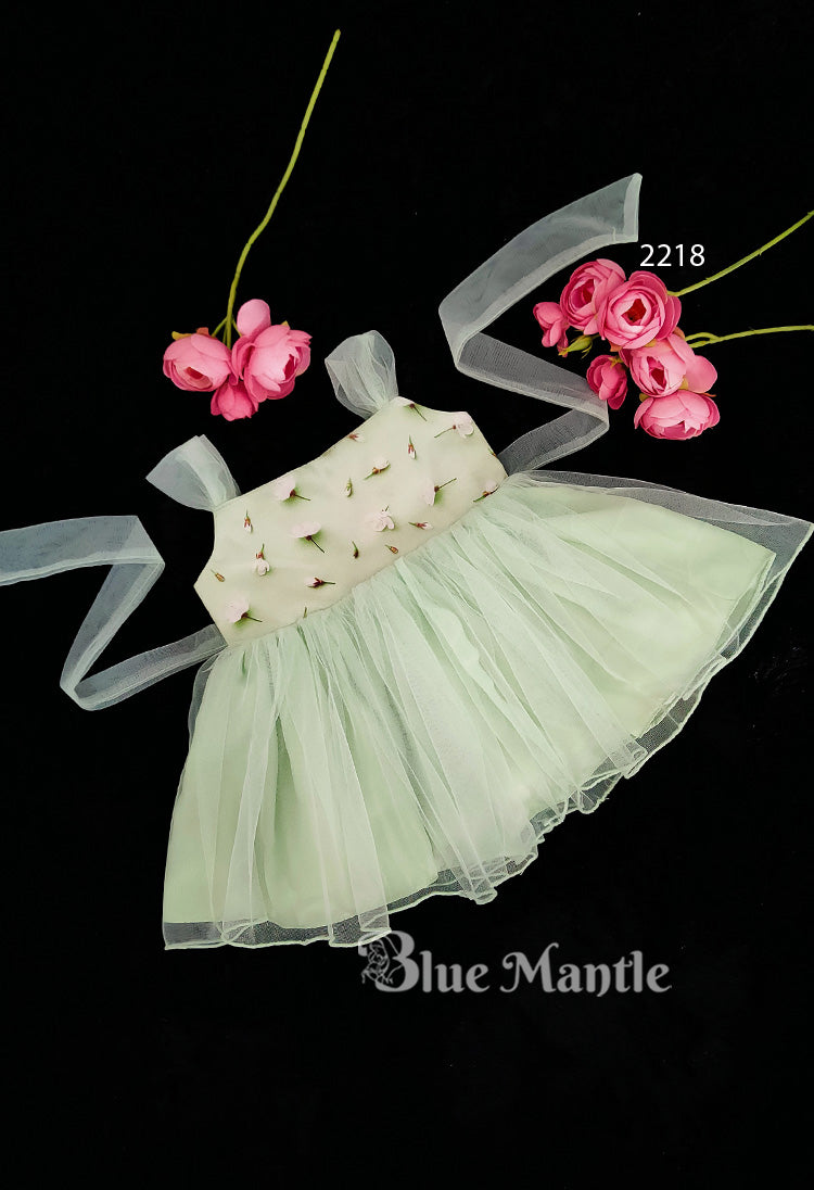 2218 Ready to Dispatch: Pastel green Frock