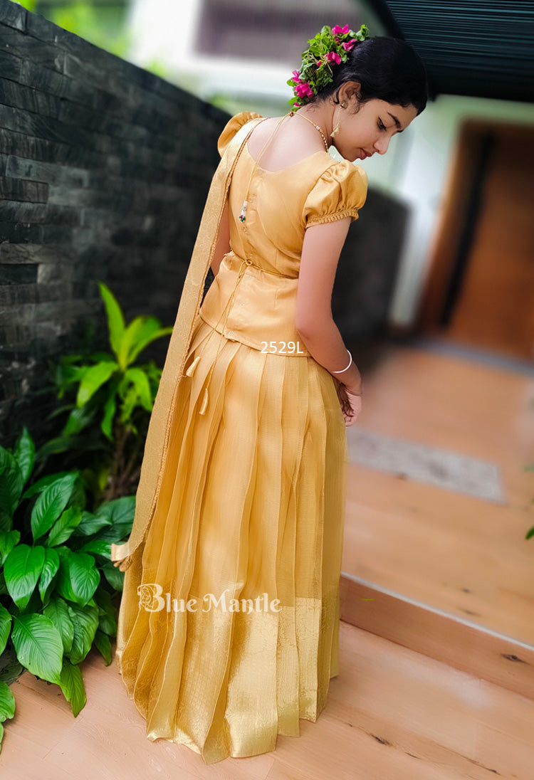 2529 -" Hiranyam" Ready to Dispatch