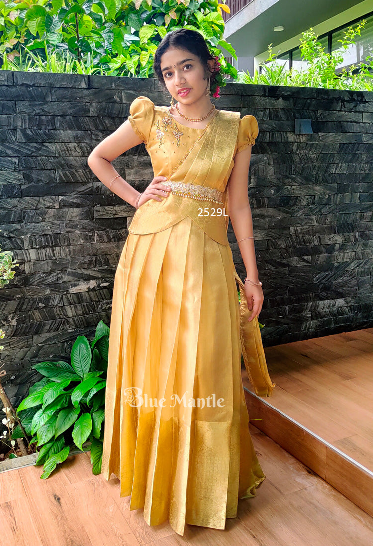 2529 -" Hiranyam" Ready to Dispatch