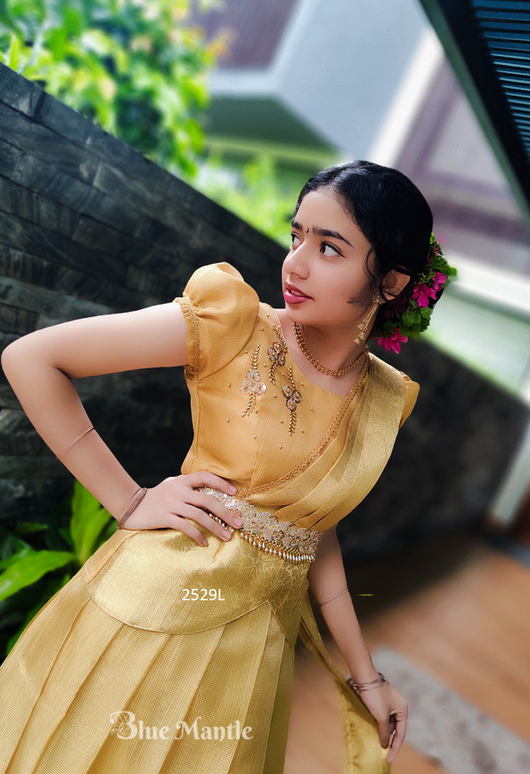 2529 -" Hiranyam" Ready to Dispatch