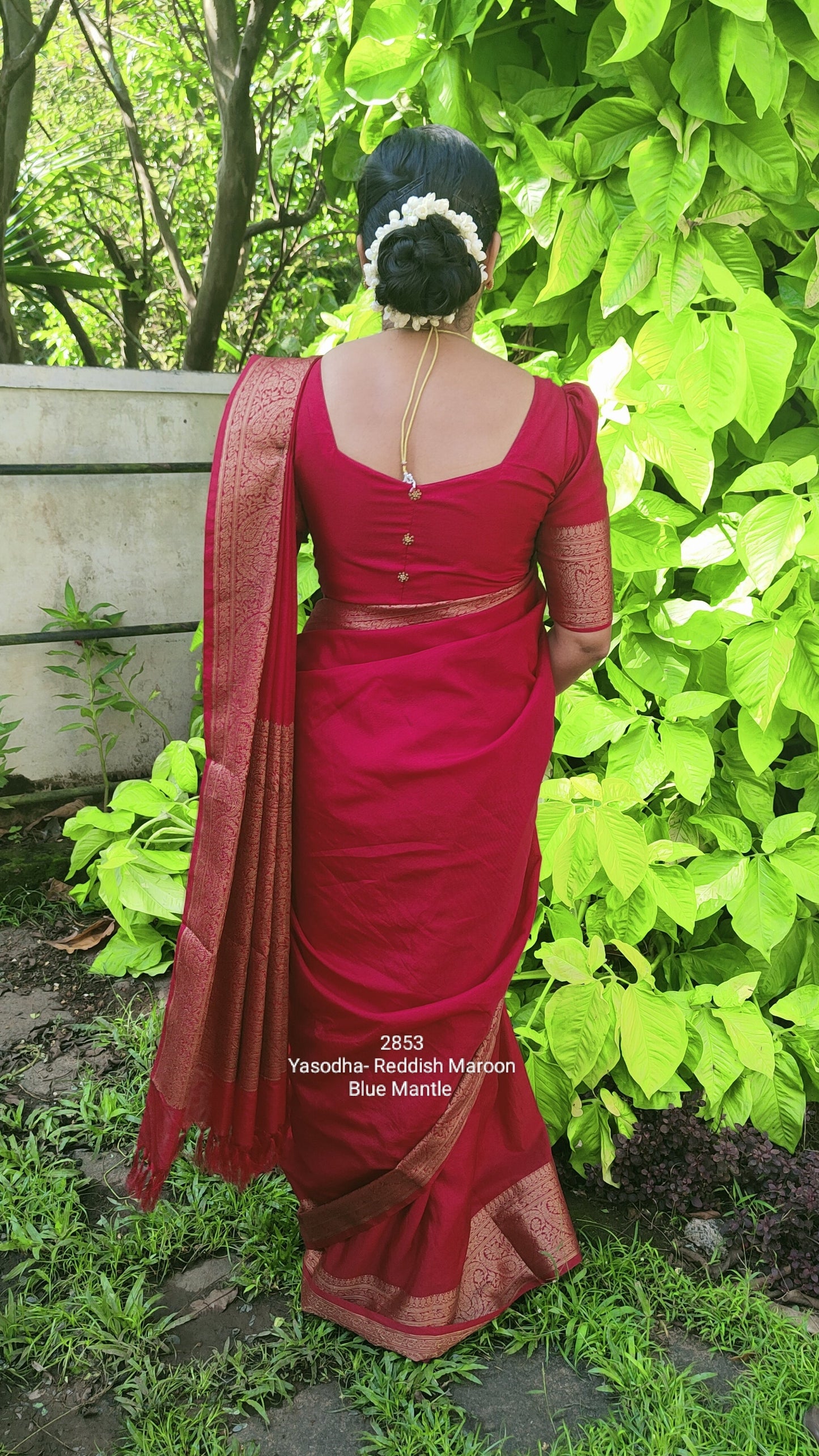 2853: 'Yasodha' - Reddish Maroon